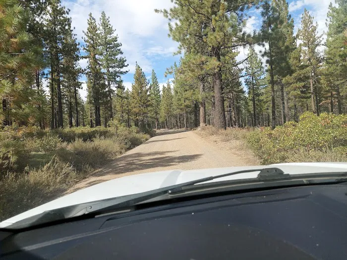 Lookout Campground Picture 5