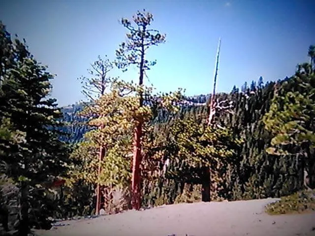 Lookout Campground Picture 10