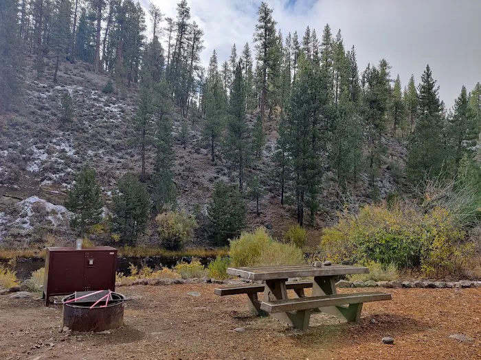 Boyington Mill Campground Picture 4