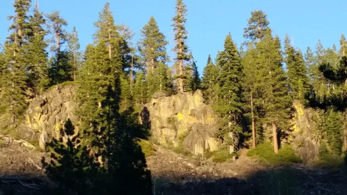 Boyington Mill Campground Picture 5
