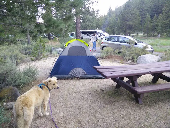 Boyington Mill Campground Picture 8