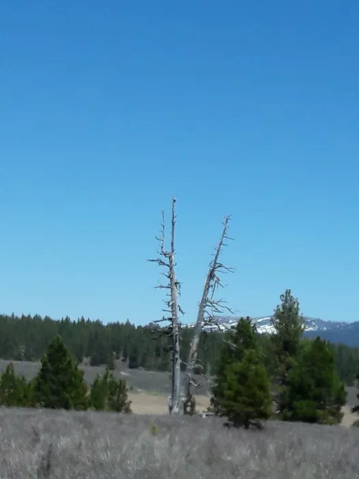 Prosser Ranch Group Campground Picture 2