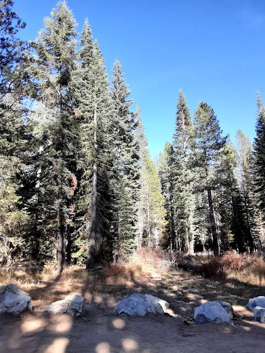 Woodchuck Campground Picture 2