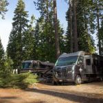 Thousand Trails Snowflower