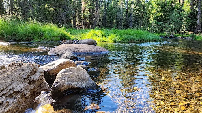Lodgepole Campground Picture 1