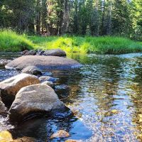 Lodgepole Campground ico