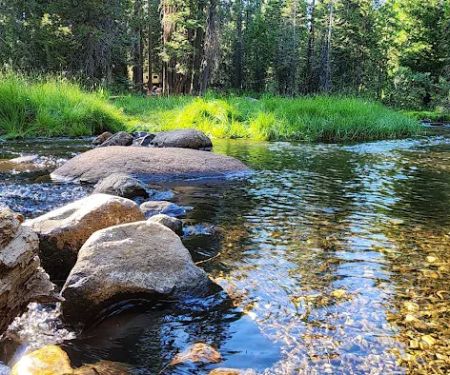 Lodgepole Campground