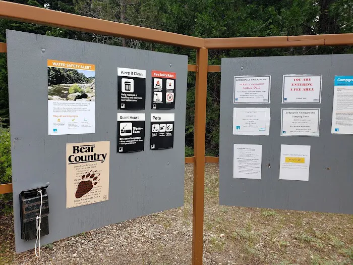 Lodgepole Campground Picture 8