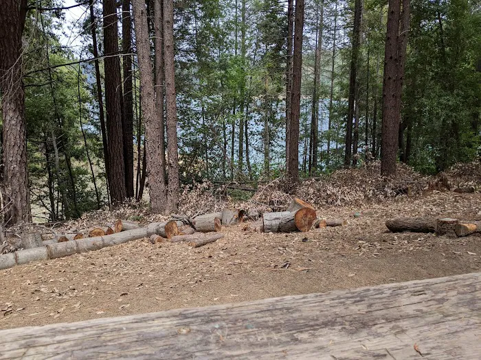 Dark Day Campground Picture 3