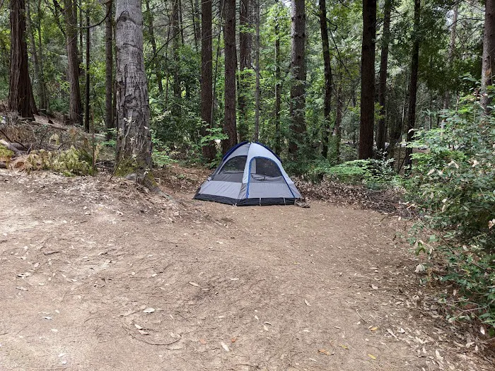 Dark Day Campground Picture 10