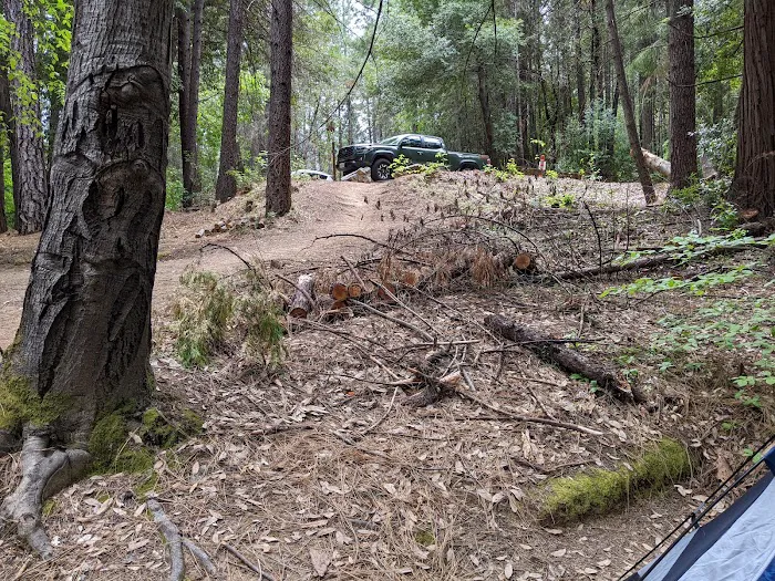 Dark Day Campground Picture 9