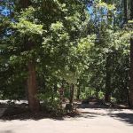 Douglas Fir Group Campground