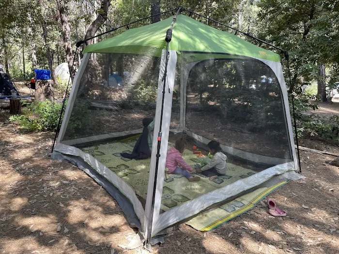 Hornswoggle Group Campground Picture 6