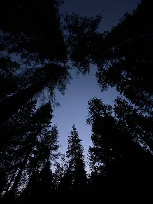 Chute Hill Campground Picture 1