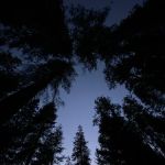 Chute Hill Campground