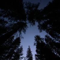 Chute Hill Campground ico