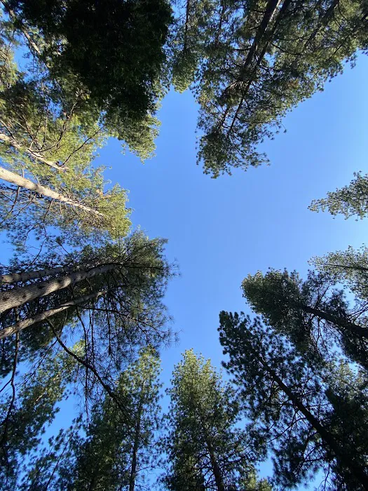 Chute Hill Campground Picture 6