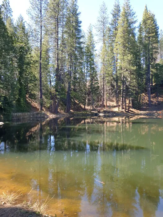 Chute Hill Campground Picture 7