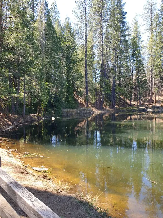 Chute Hill Campground Picture 8