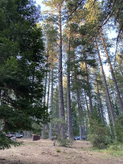 Chute Hill Campground Picture 10