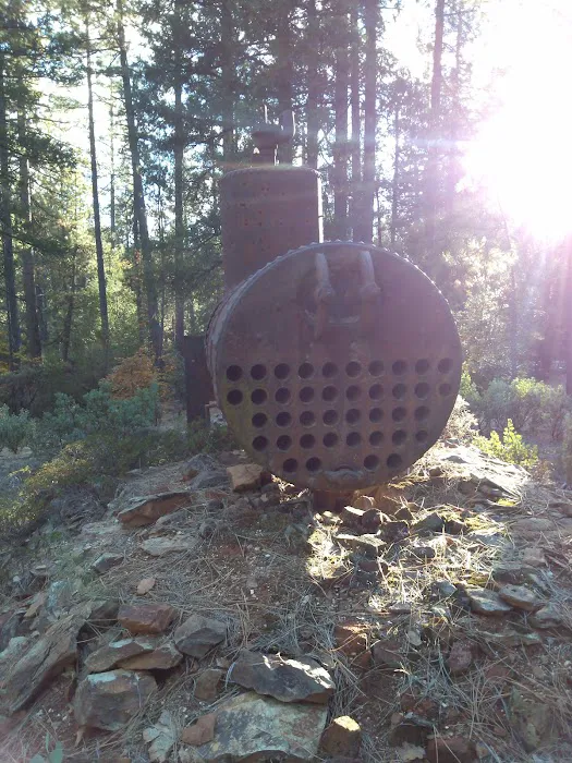 North Bloomfield Cabins Picture 1