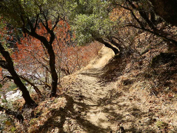 South Yuba Recreation Area Picture 3