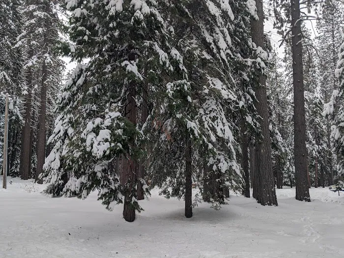 White Cloud Campground Picture 4