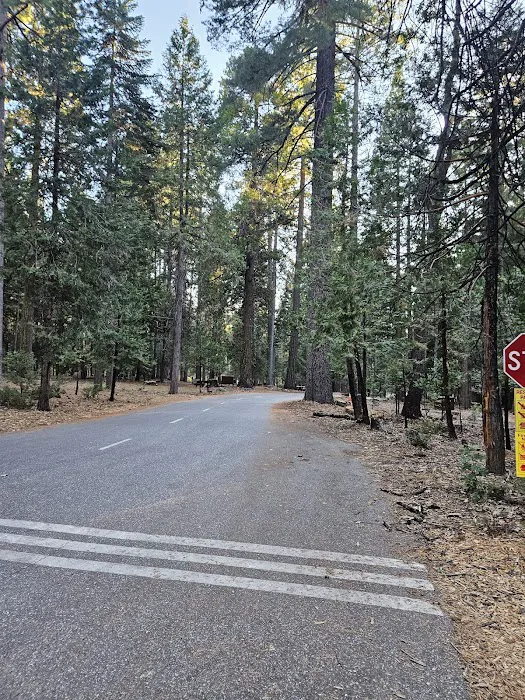 White Cloud Campground Picture 5