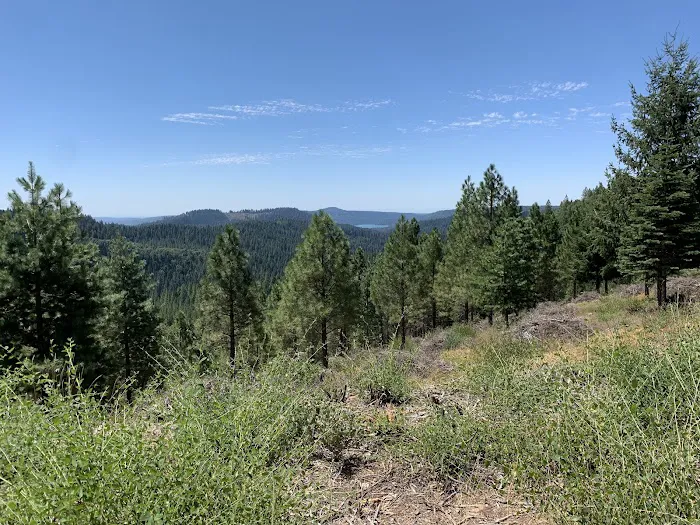 White Cloud Campground Picture 7