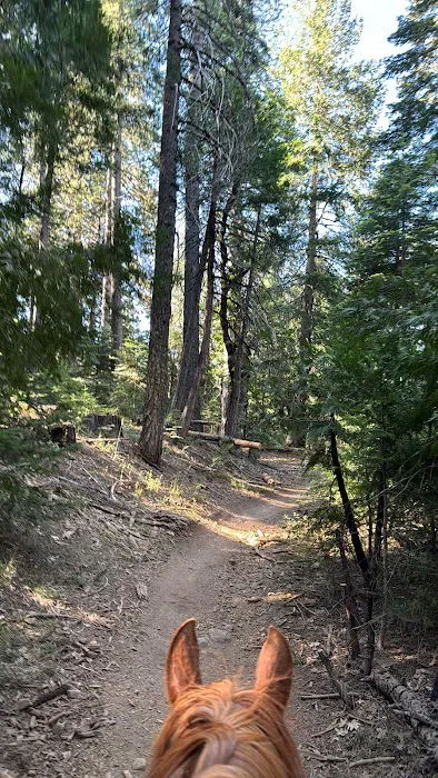 Skillman Campground Picture 6