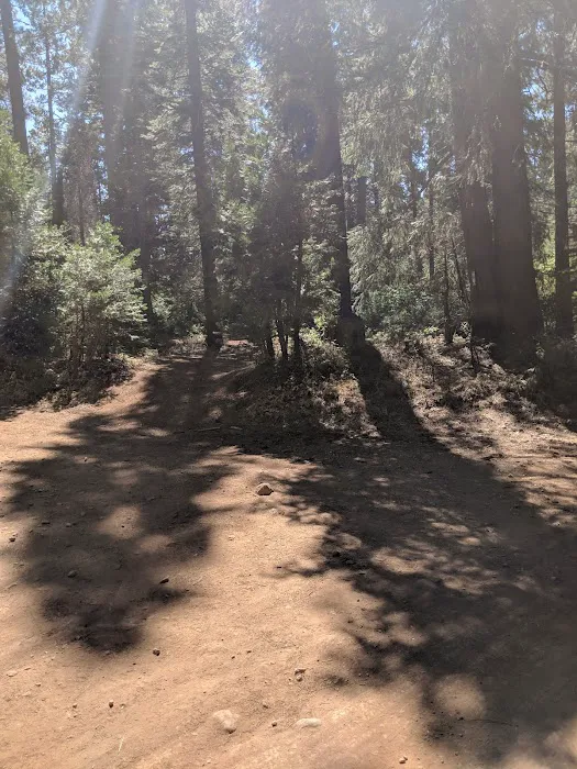 Skillman Campground Picture 7