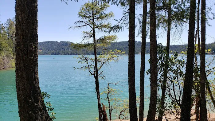 Scotts Flat Lake Picture 8