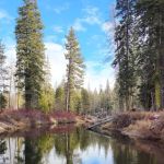 Hampshire Rocks Campground