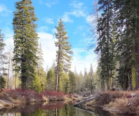 Hampshire Rocks Campground