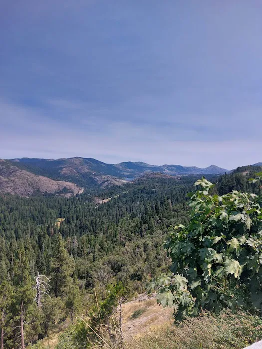 Big Bend Group Campground (Yuba River) Picture 4