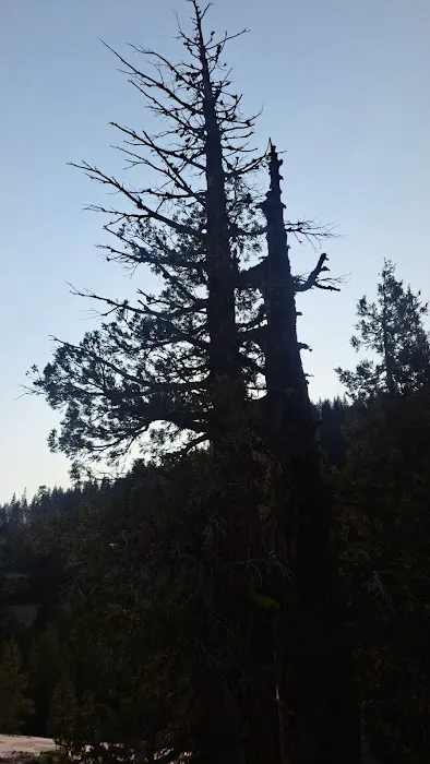 Big Bend Group Campground (Yuba River) Picture 7