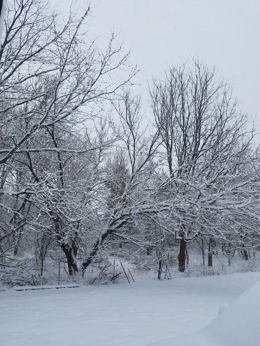 Mt Joy Mobile Home Park Picture 3