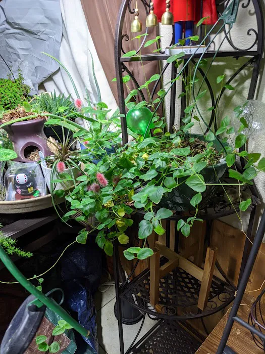 Mt Joy Mobile Home Park Picture 5