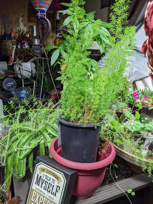 Mt Joy Mobile Home Park Picture 8