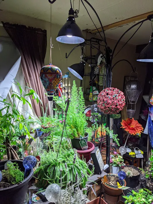 Mt Joy Mobile Home Park Picture 7