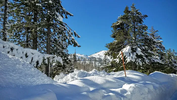 Cisco Grove Campground & RV Picture 3