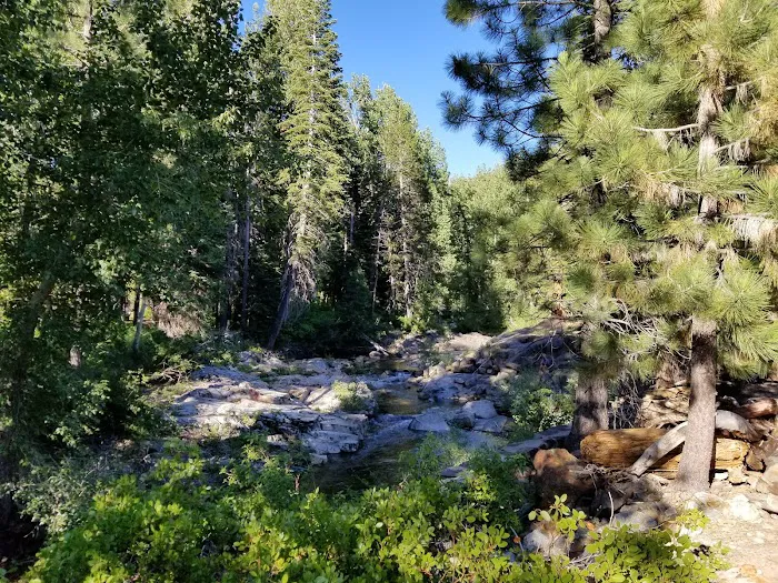 Cisco Grove Campground & RV Picture 8