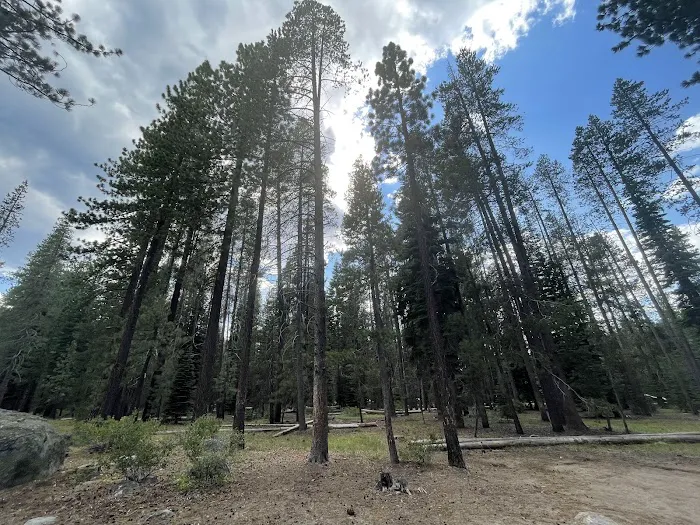 Ridge Campground Picture 1