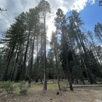 Ridge Campground ico