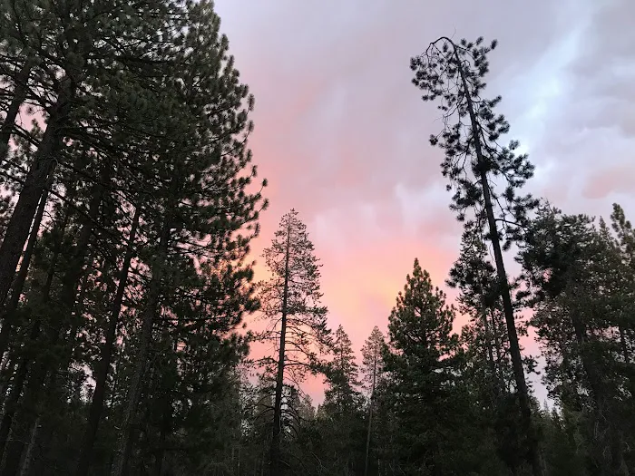 Ridge Campground Picture 8