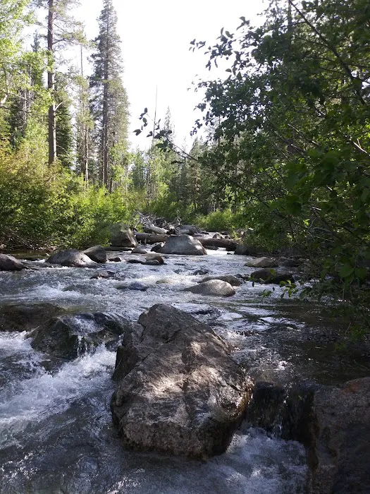Creek Campground Picture 7