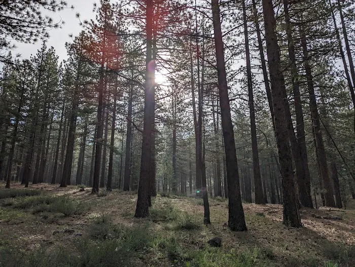 Boca Spring Campground Picture 6