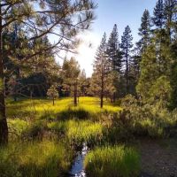 Boca Spring Campground ico