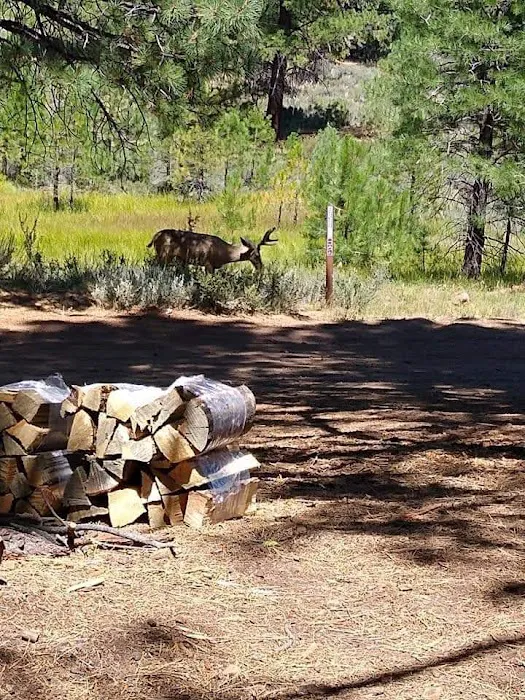 Boca Spring Campground Picture 3