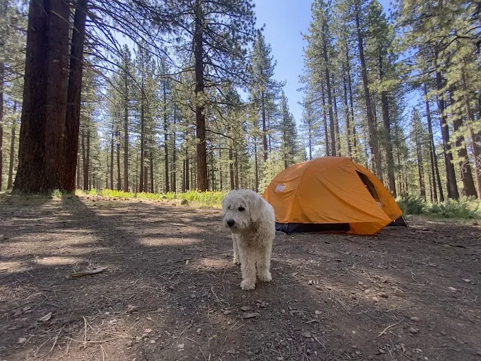 Boca Spring Campground Picture 4